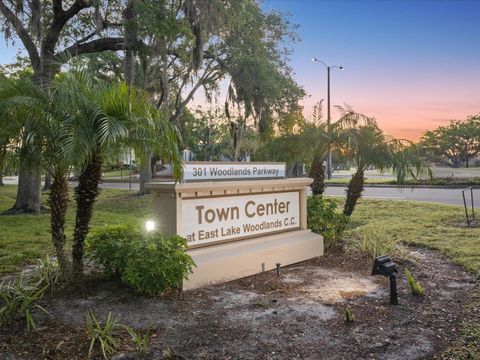 A home in OLDSMAR
