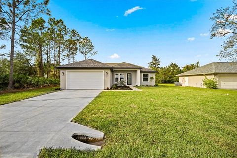 A home in PALM COAST