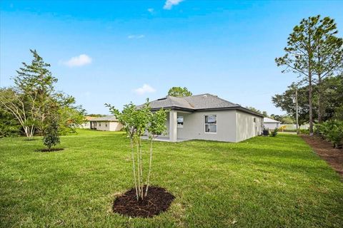 A home in PALM COAST