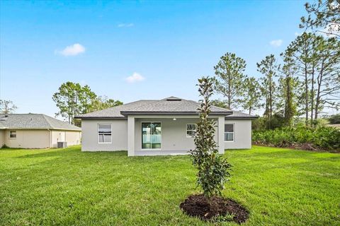 A home in PALM COAST