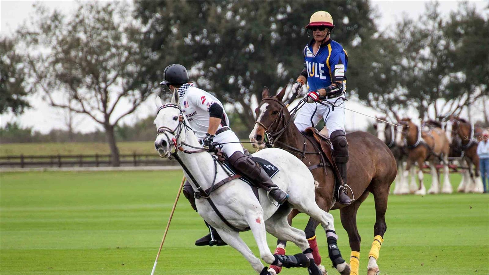 SOLERA AT LAKEWOOD RANCH - Residential Lease