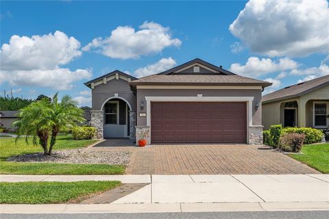 Photo of 503 Vigo Street, Davenport, FL 33837 (MLS # G5096835)