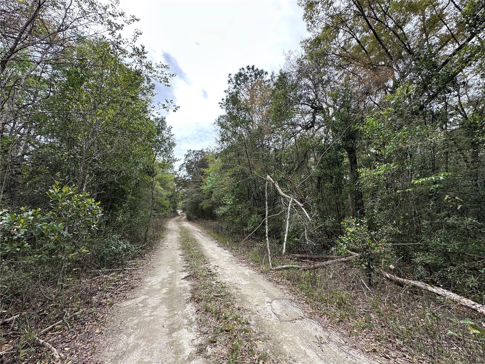 WILLISTON HIGHLANDS GOLF & C CLUB ESTATES - Land