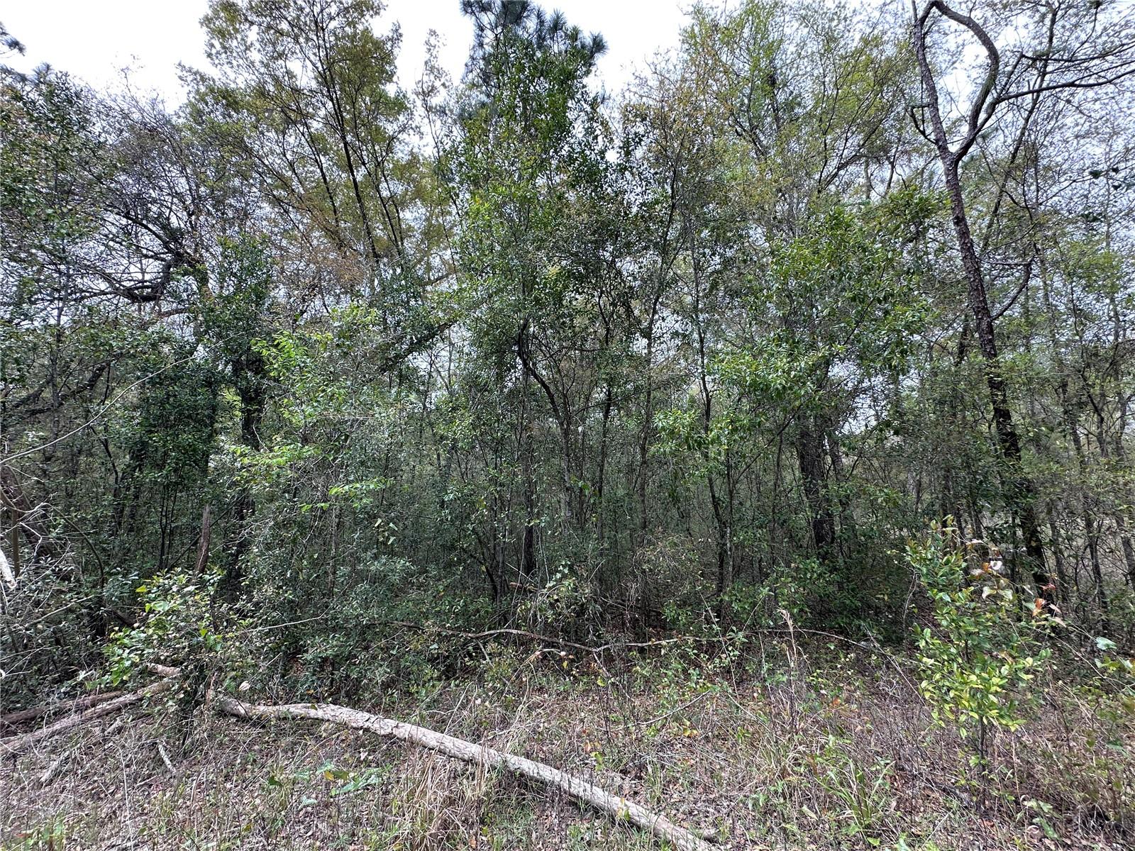 WILLISTON HIGHLANDS GOLF & C CLUB ESTATES - Land