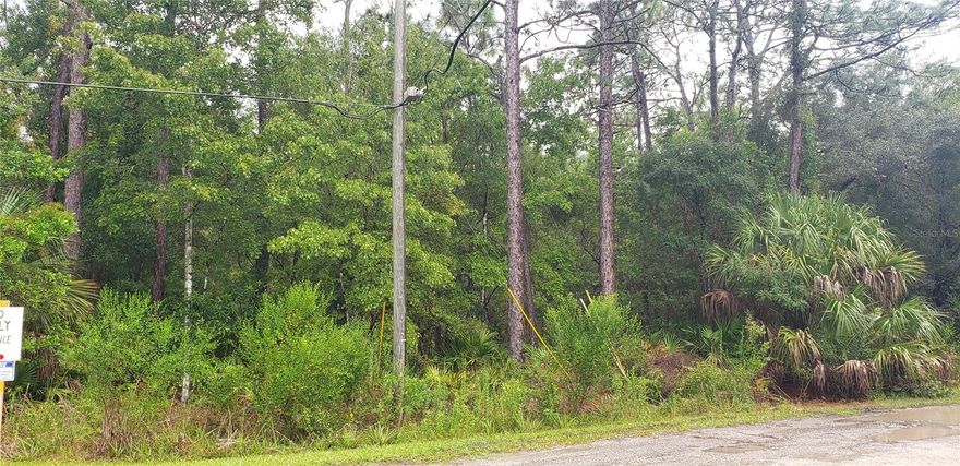 Get away from it all yet be just minutes form everything you need. Beautiful heavily wooded acre plus lot on private road is conveniently located in Crystal River just minutes from Highway 19, Highway 44, and the Suncoast Parkway extension for easy access to Tampa.  Both Crystal Rivers and Homosassa with boats ramps. fishing, scalloping, and manatees are a short ride away. check with zoning to make sure the land can be developed as you want, no HOA.