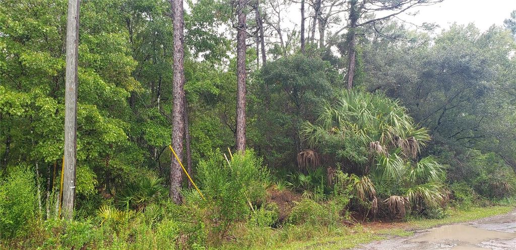 Photo of 1179 N Tessa Terrace, Crystal River, FL 34429 (MLS # G5086914)