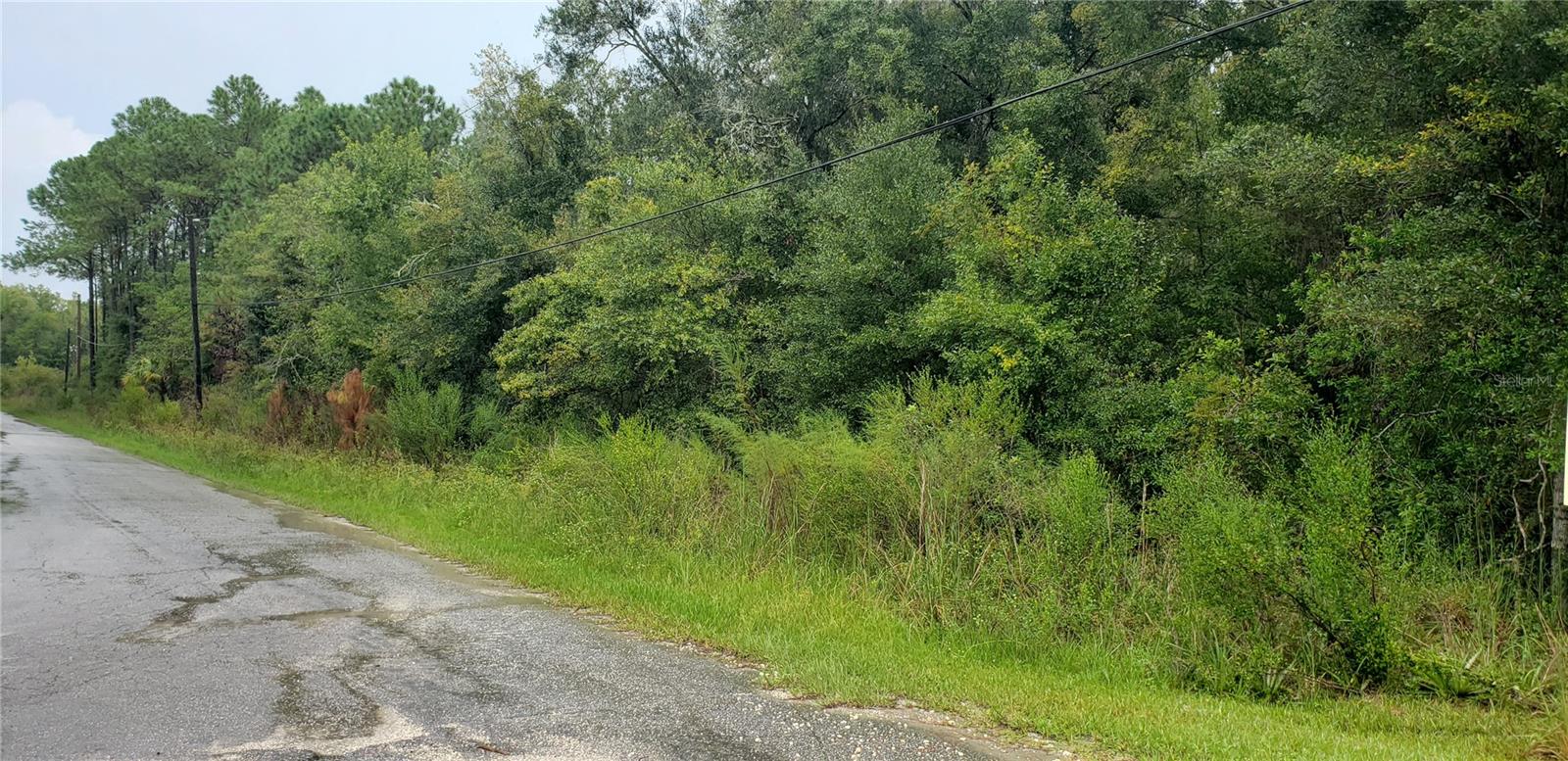 CRYSTAL RIVER VILLAGE UNREC SUB - Land