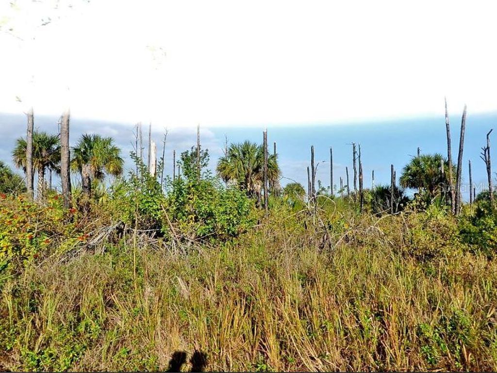 Photo of Devonia Circle, North Port, FL 34288 (MLS # O6185814)