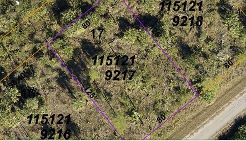 PORT CHARLOTTE SUB 46 - Land