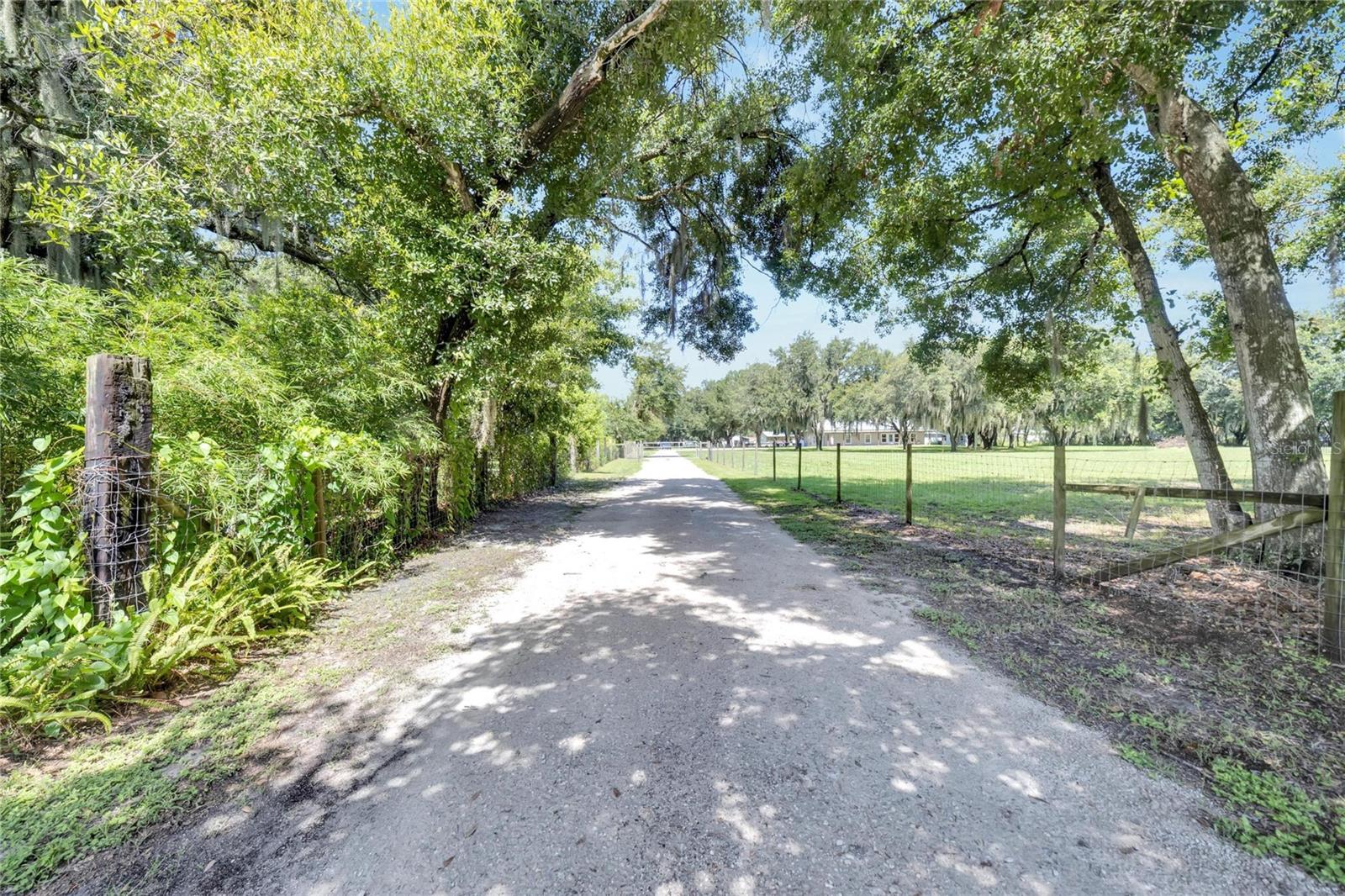 TEMPLE PINES - Residential