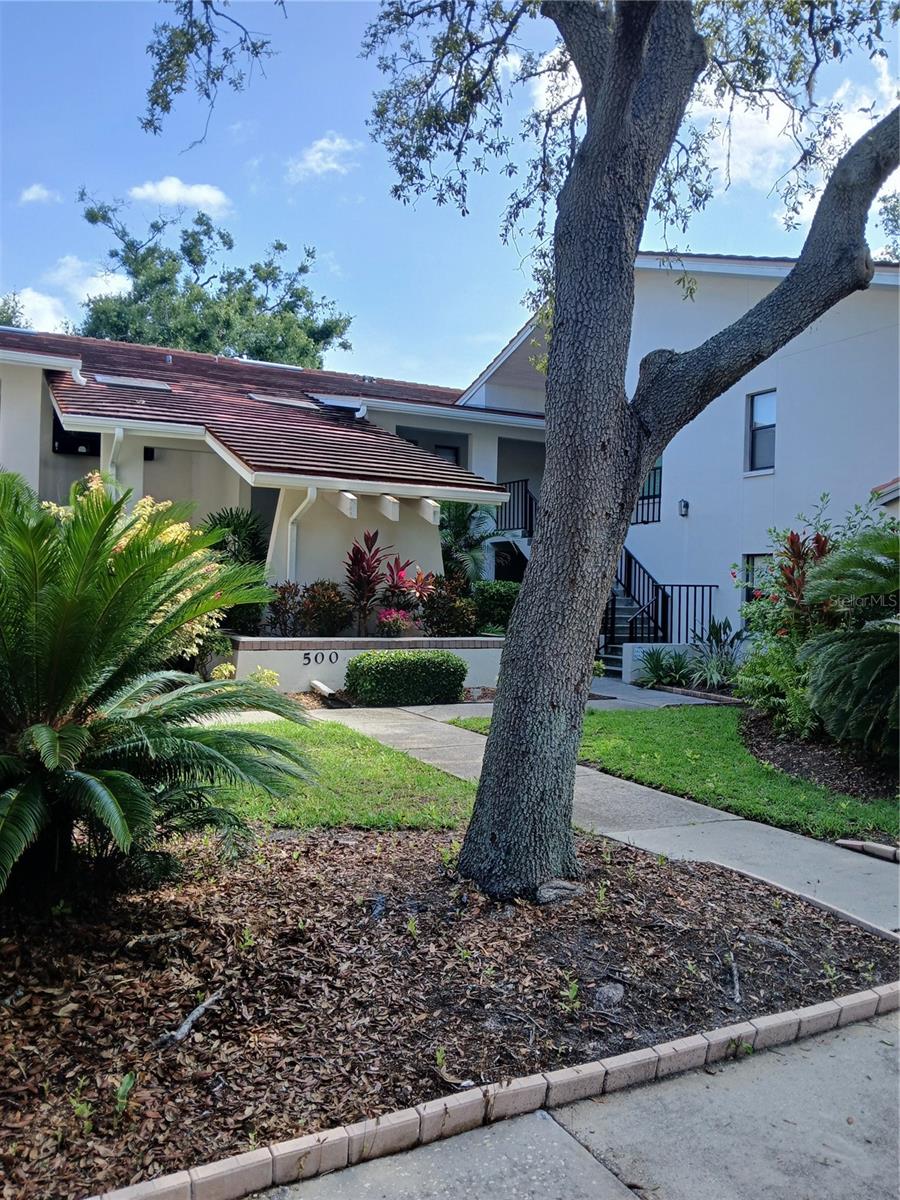 This condo has been renovated in 2023. New kitchen, 2 new bathrooms, new laminate floors, new tile in wet areas, new window coverings and much more! You will love it! Spacious 2/2 with carport. Just steps to the open Gulf. Easy commute to beaches, restaurants, shopping, churches and the sponge Docks. Beautiful clubhouse with sweeping Gulf views.
