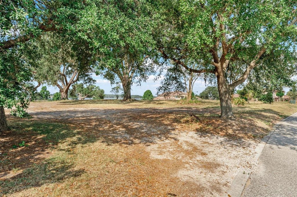 Photo of 29 Stonelake Ranch Blvd, Thonotosassa, FL 33592 (MLS # TB8405768)