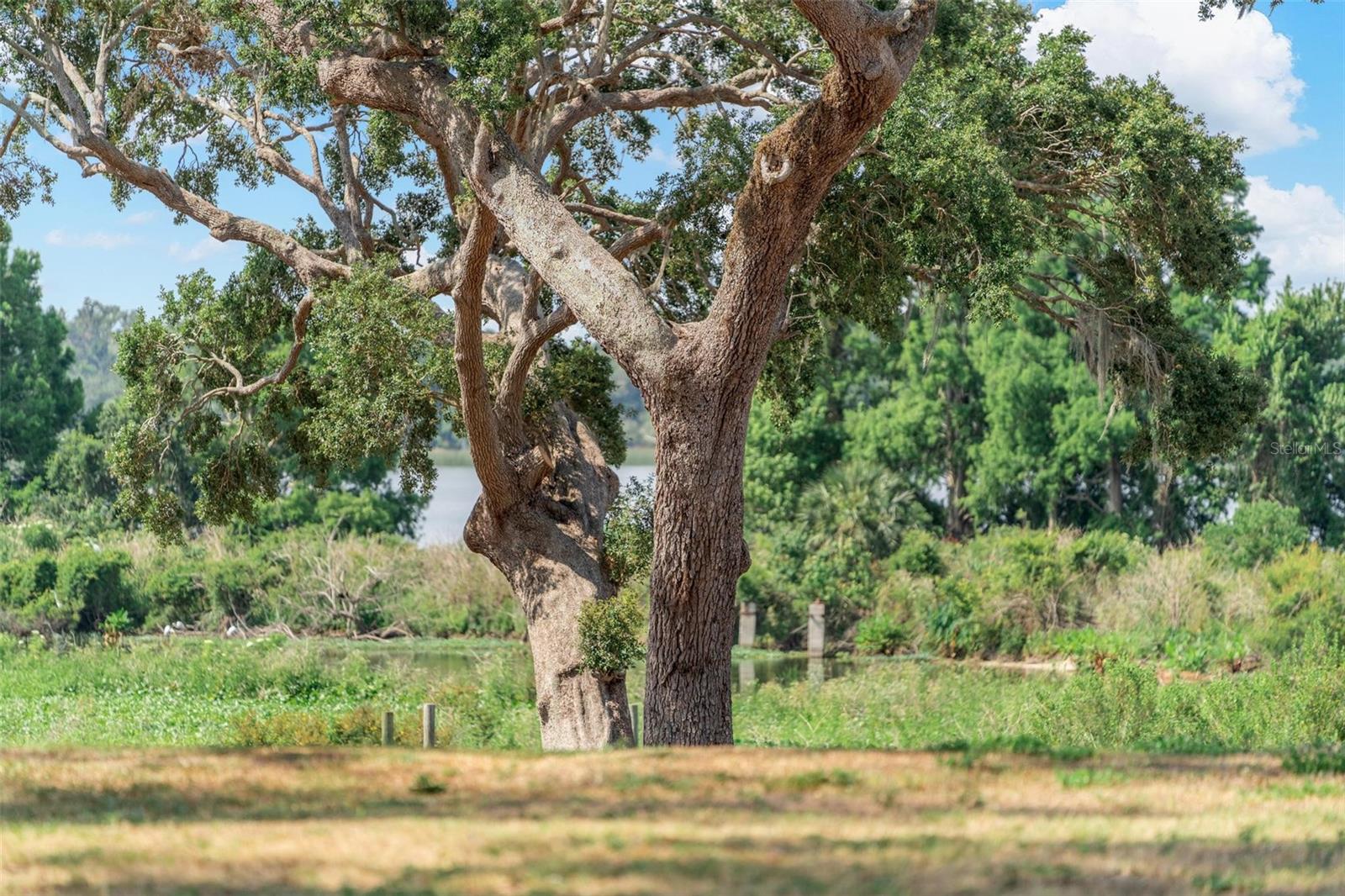 STONELAKE RANCH PH 1 PARTIA - Land