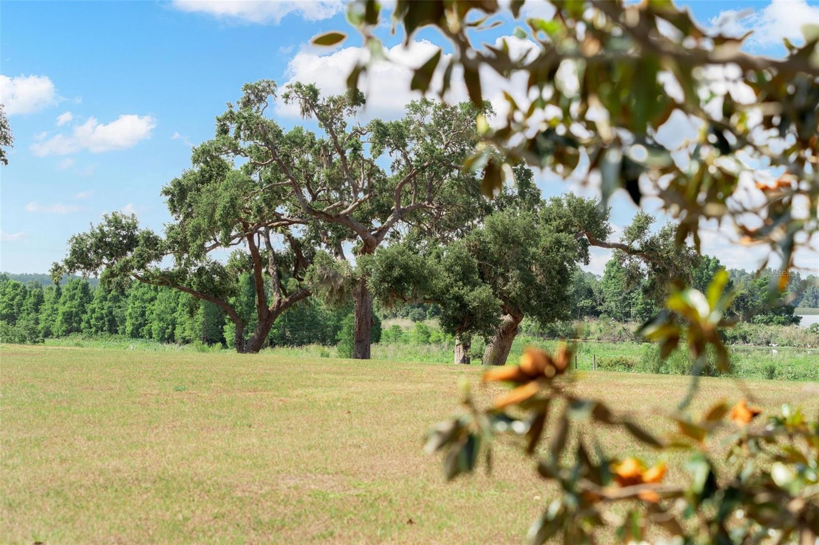 STONELAKE RANCH PH 1 PARTIA - Land