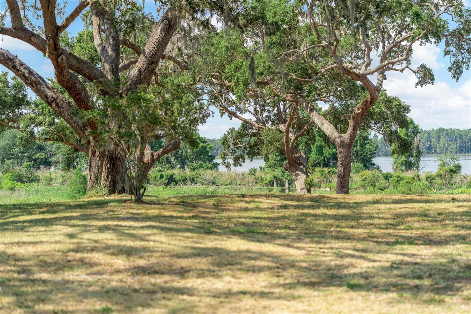 STONELAKE RANCH PH 1 PARTIA - Land