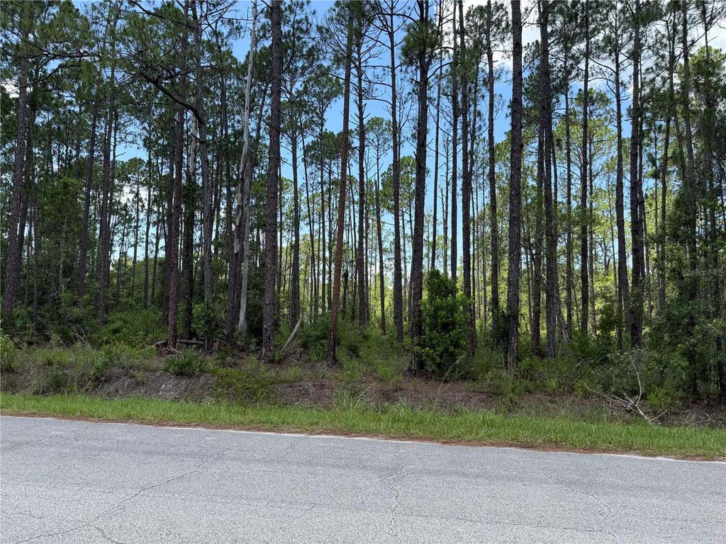 Photo of 2914 Avocado Boulevard, Bunnell, FL 32110 (MLS # FC319997)