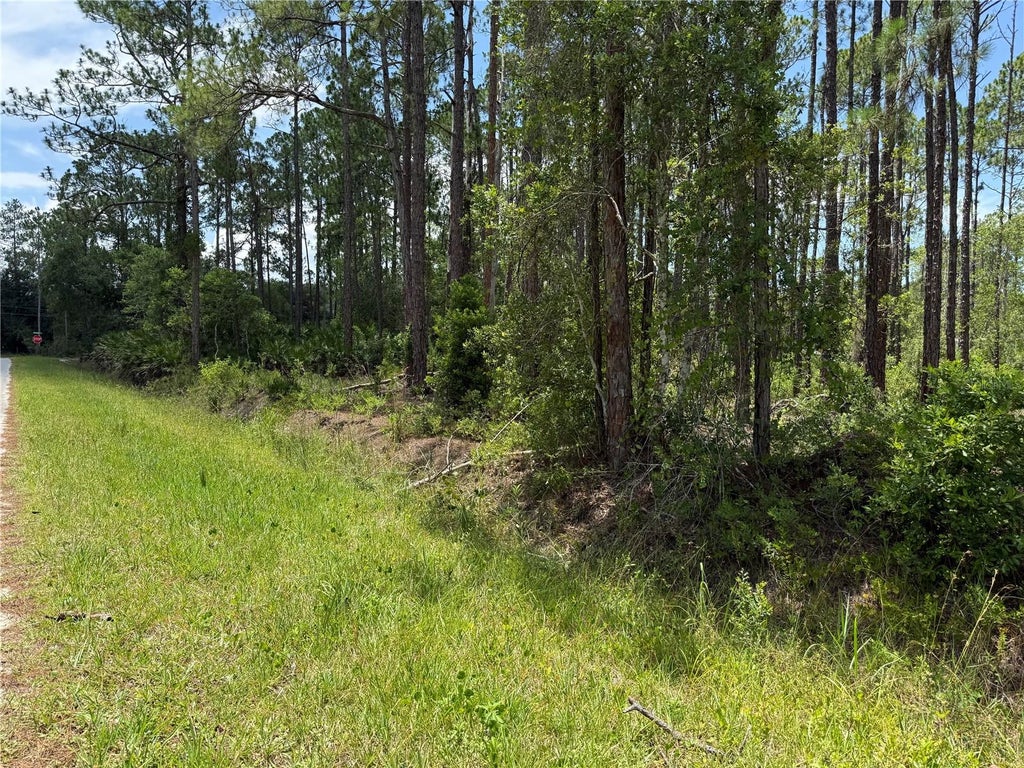 Photo of 2914 Avocado Boulevard, Bunnell, FL 32110 (MLS # FC319997)