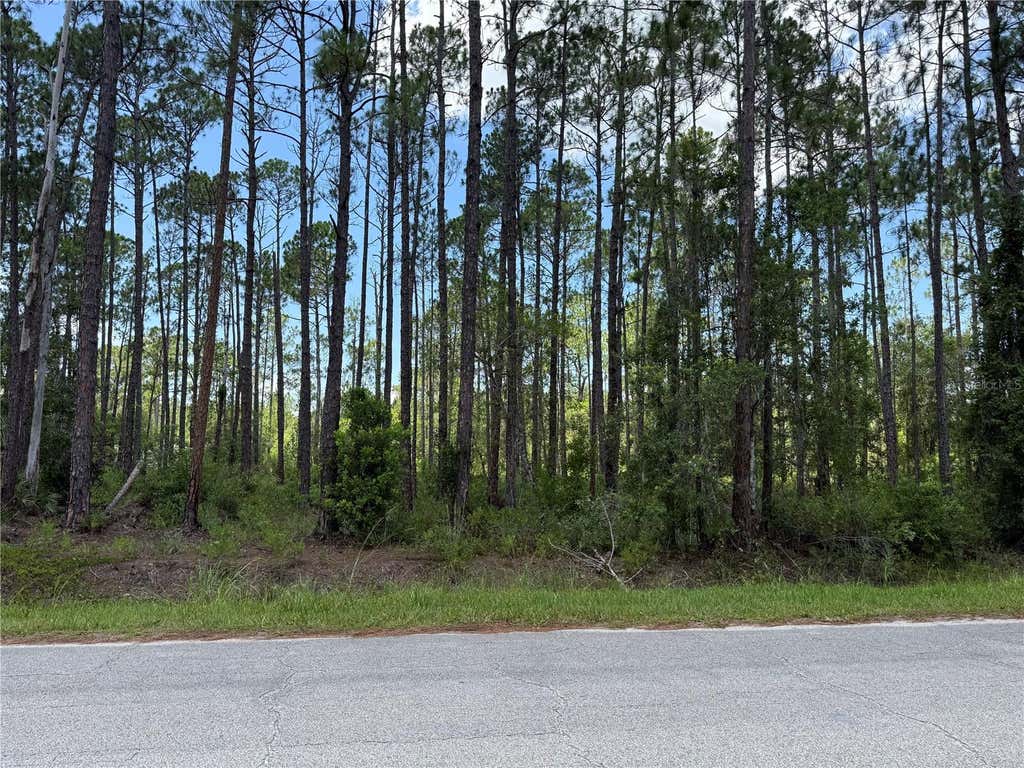 Photo of 2914 Avocado Boulevard, Bunnell, FL 32110 (MLS # FC319997)
