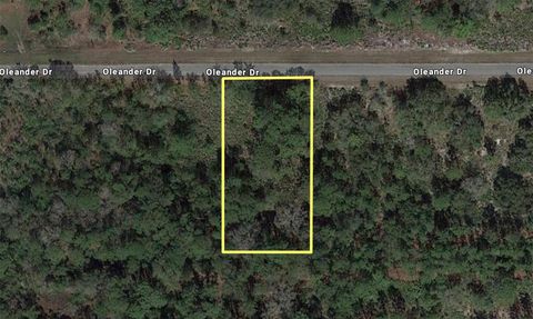OLEANDER DRIVE INDIAN LAKE ESTATES FL 33855