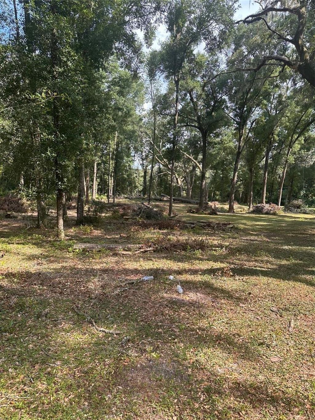 Photo of Tbd SW 111th Lane, Dunnellon, FL 34432 (MLS # O6313706)