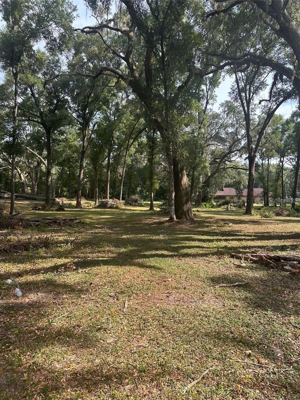Photo of Tbd SW 111th Lane, Dunnellon, FL 34432 (MLS # O6313706)