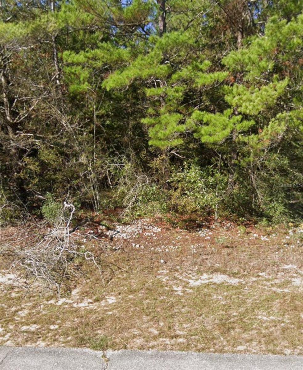 SUNNY HILLS UNIT #1 LOT 19 ORB 116 P 618 BLK 0037 - Land