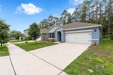 Photo of 505 Lady Irelyn Court, Deland, FL 32724 (MLS # TB8511981)