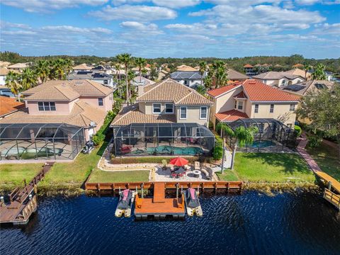 A home in TAMPA