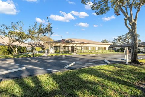 A home in PALM HARBOR