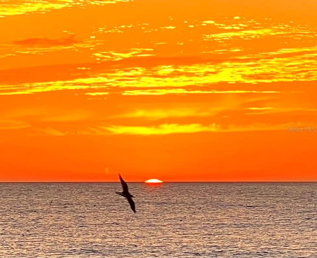 Photo of 777 N Green Circle #152, Venice, FL 34285 (MLS # A4658902)