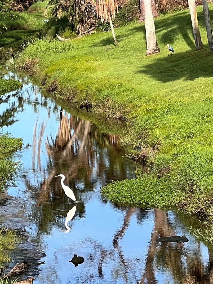 COUNTRY CLUB ESTATES - Land