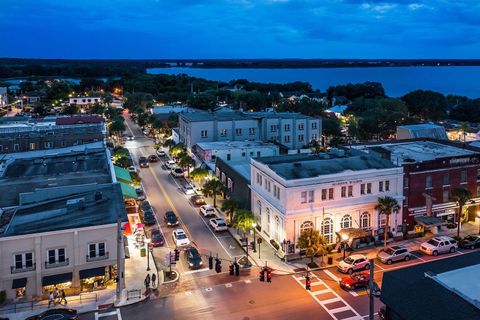 A home in MOUNT DORA