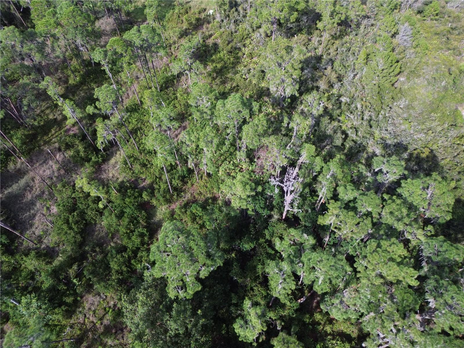 HAWKS LANDING - Land