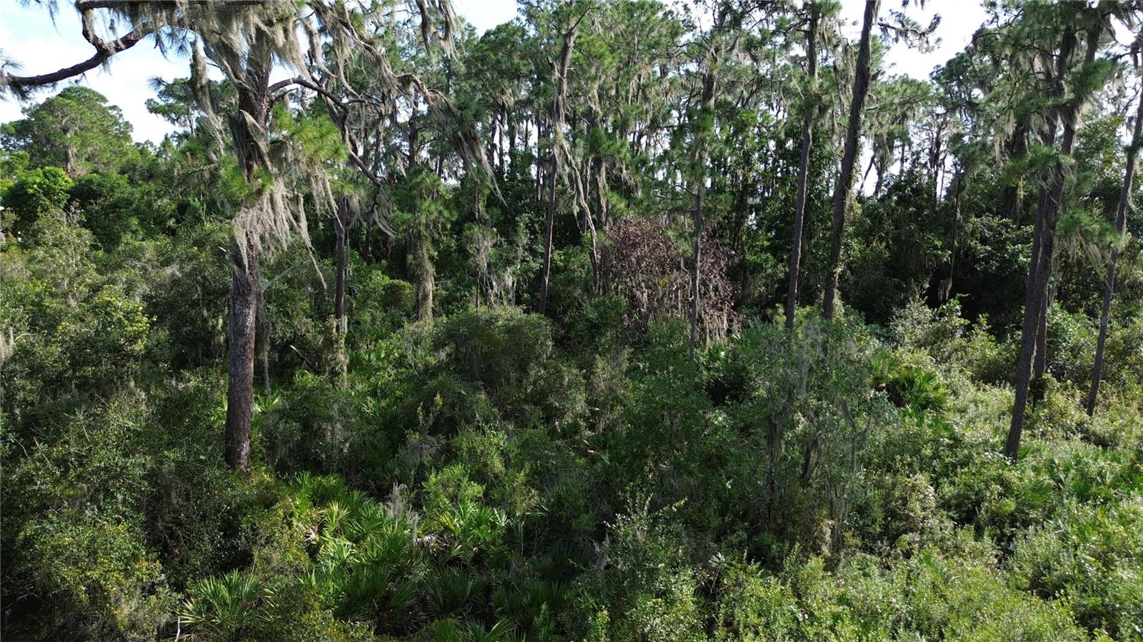 HAWKS LANDING - Land