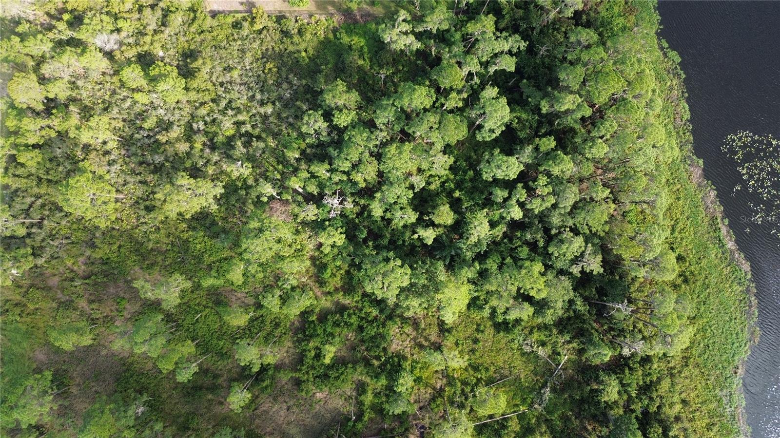 HAWKS LANDING - Land