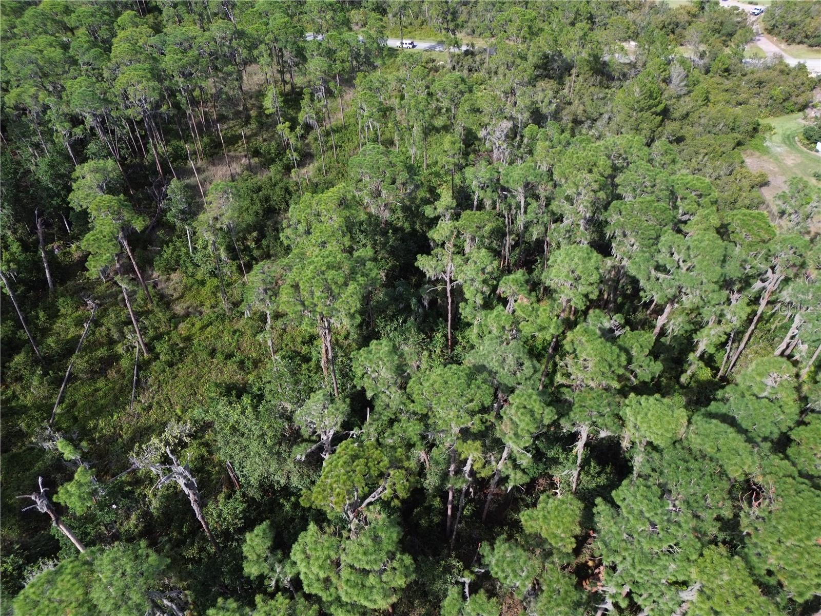 HAWKS LANDING - Land