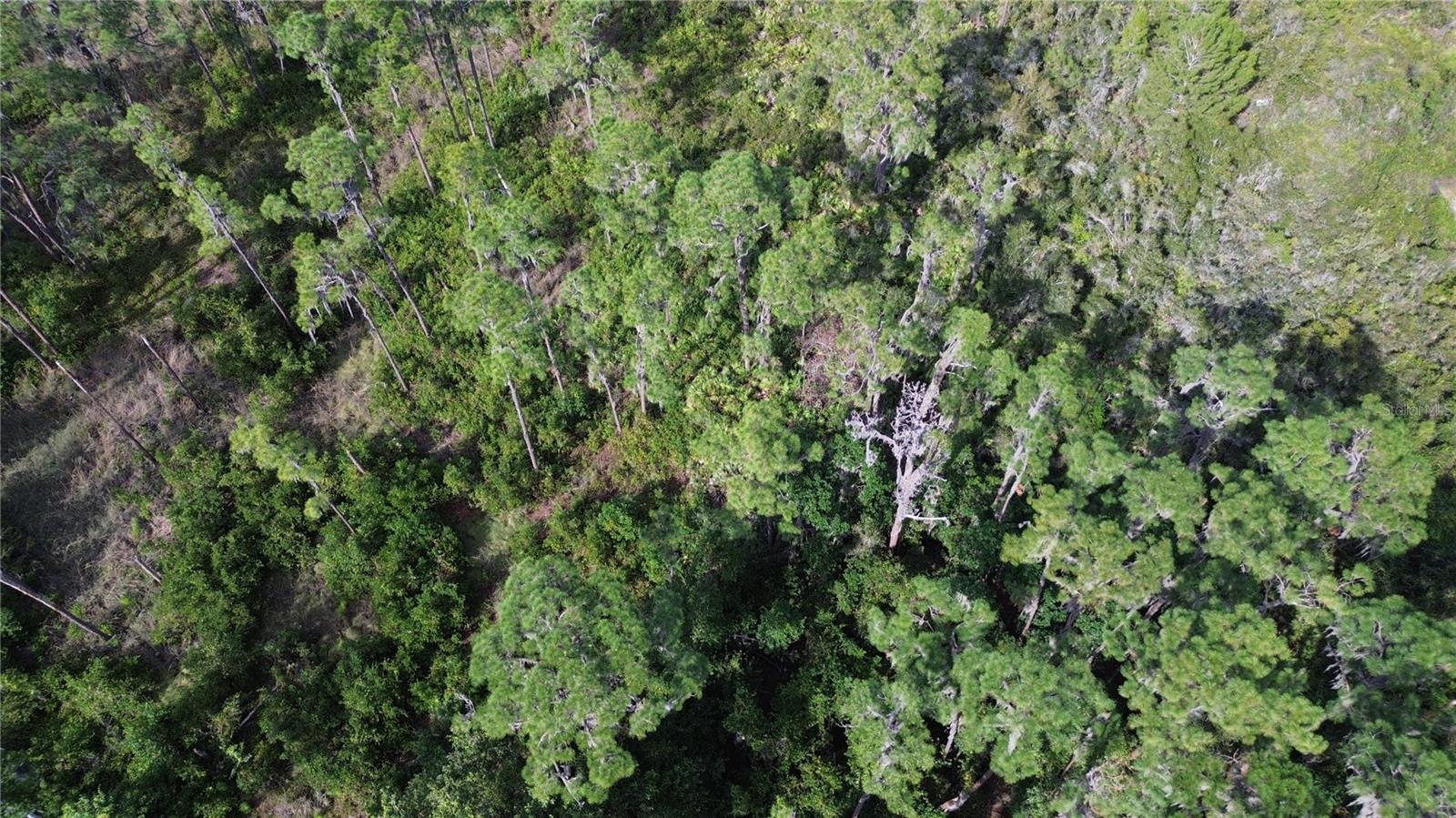 HAWKS LANDING - Land