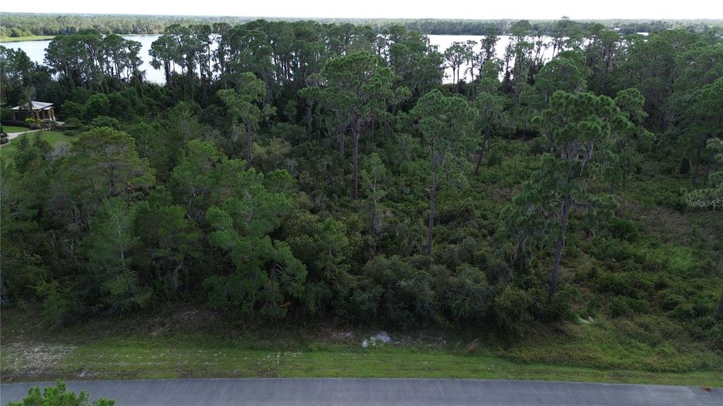 Photo of 3029 Hawks Landing Circle, Sebring, FL 33875 (MLS # L4948867)