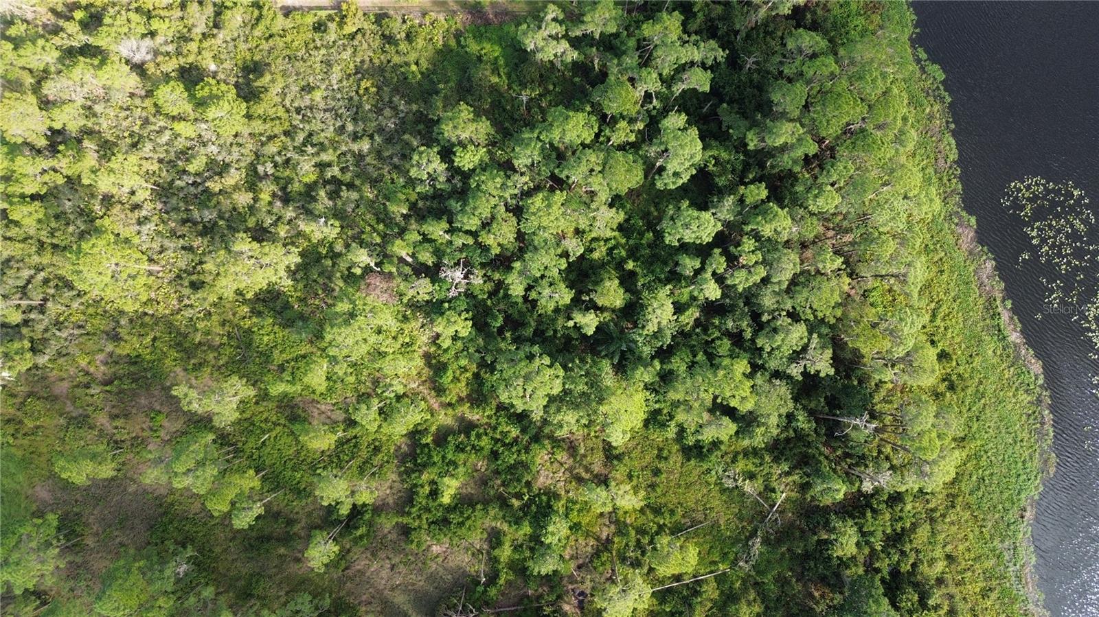 HAWKS LANDING - Land