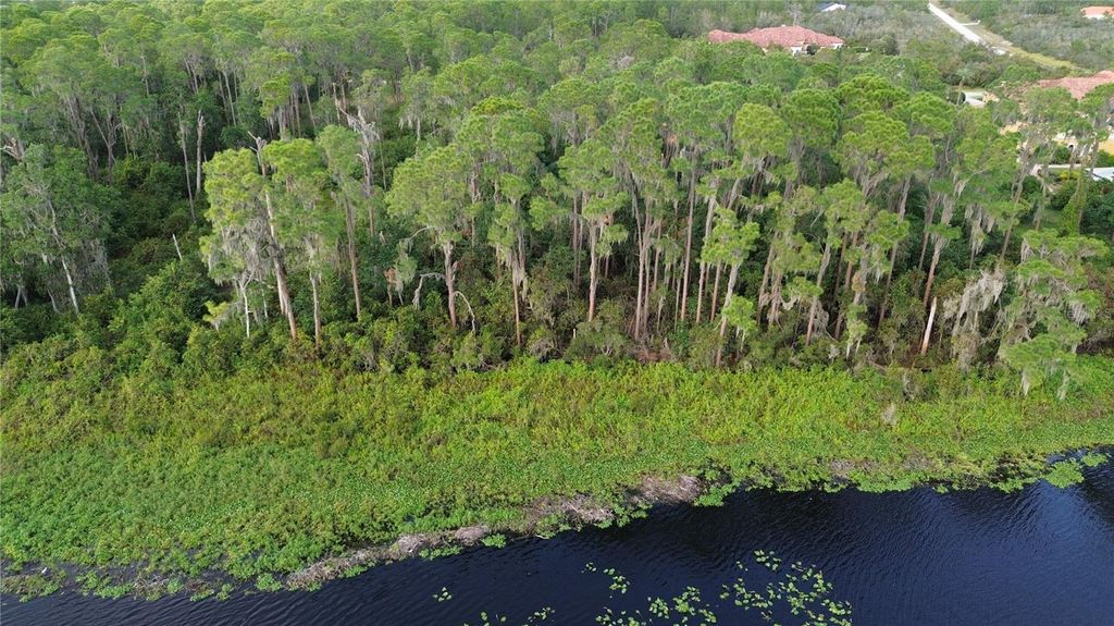 Photo of 3029 Hawks Landing Circle, Sebring, FL 33875 (MLS # L4948867)