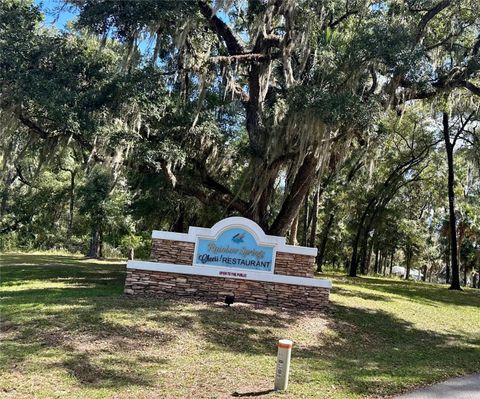 Tiny photo for 19126 SW 101st Street, Dunnellon, FL 34432 (MLS # O6350204)