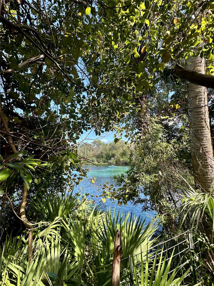 RAINBOW SPRINGS 5TH REPLAT - Residential