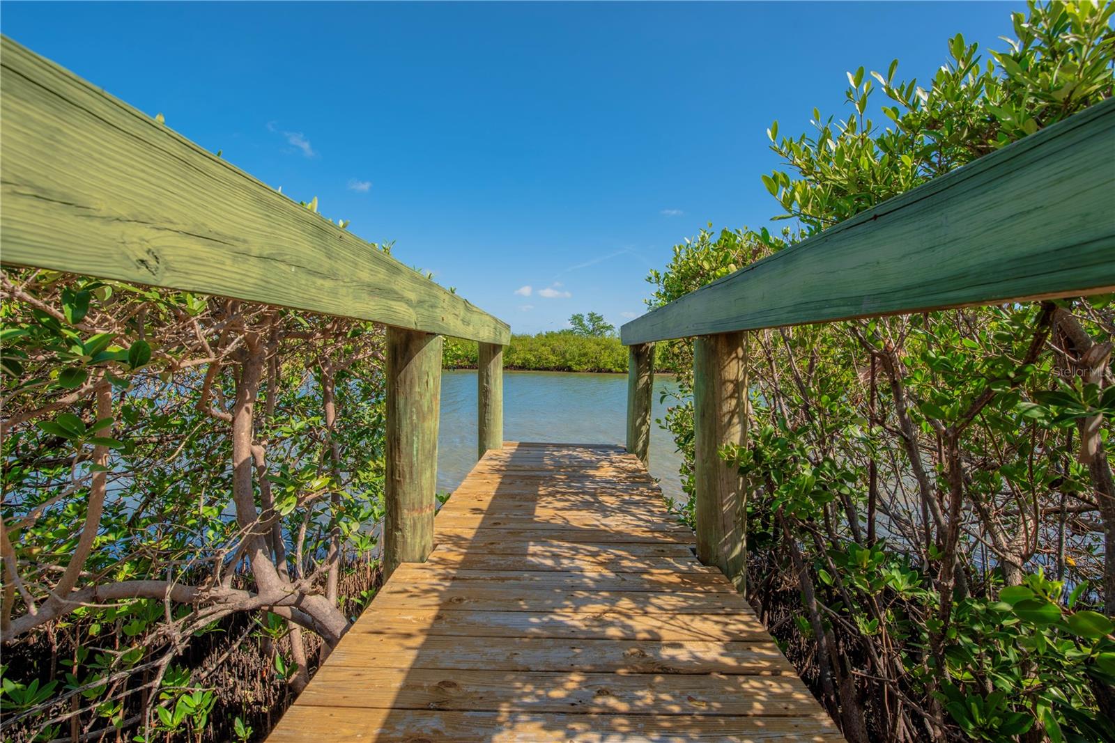 REGENCY COVE A COOPERATIVE - Residential