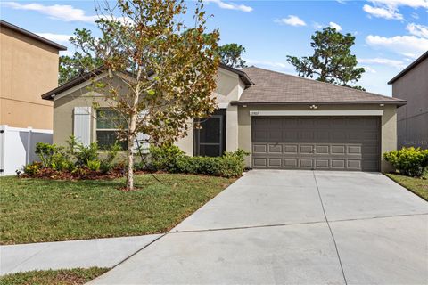 12907 WILDFLOWER MEADOW DRIVE RIVERVIEW FL 33579