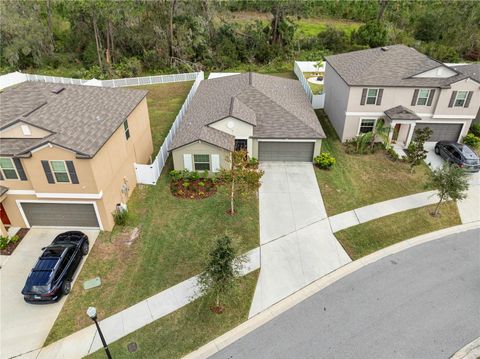 A home in RIVERVIEW