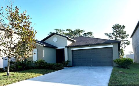 A home in RIVERVIEW