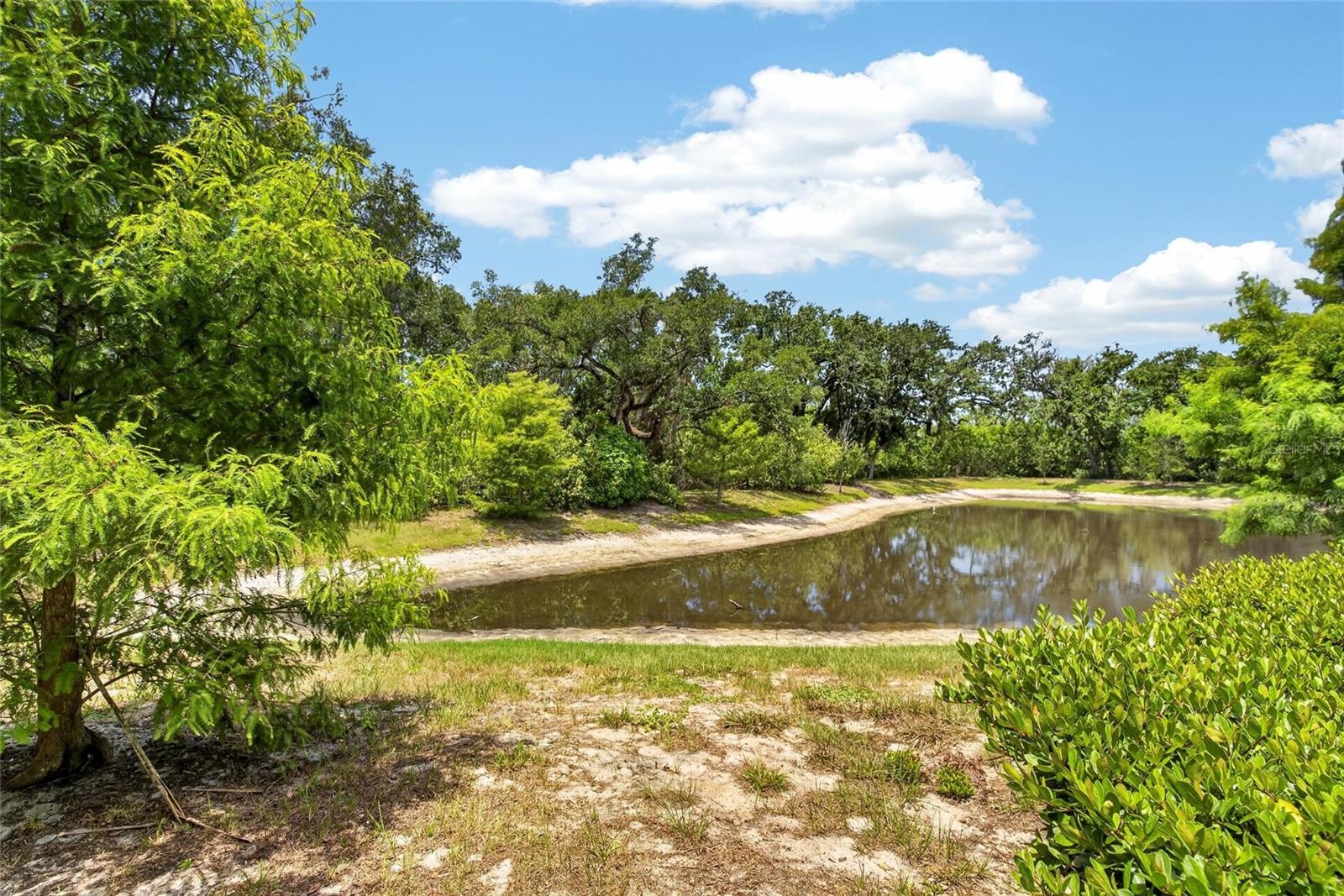 2911 JACOB CROSSING LANE