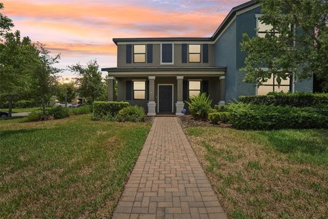 A home in LAND O LAKES