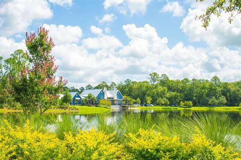 A home in LAND O LAKES