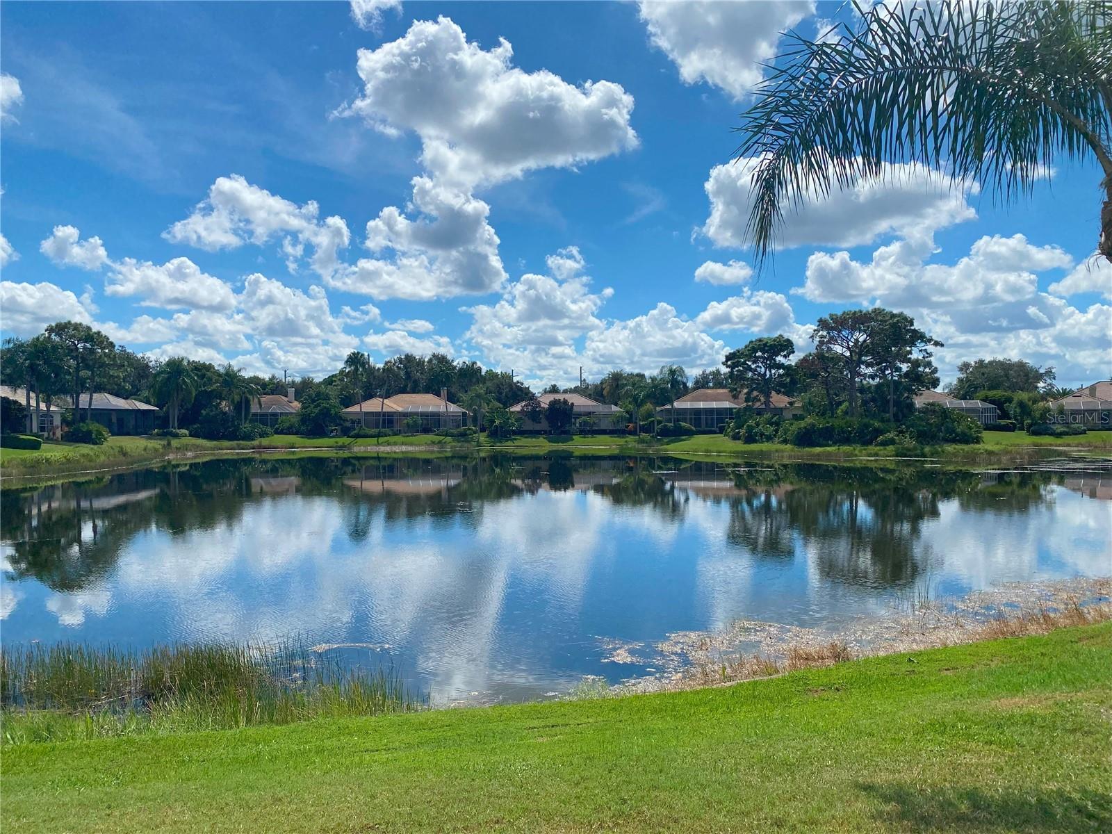 UNIVERSITY PARK - Residential